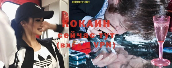 твердый Абаза